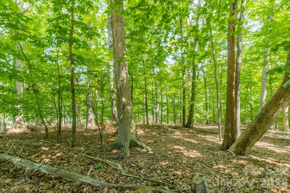 195 Agnew Road Mooresville, NC 28117