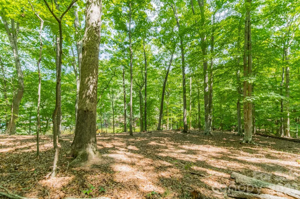 195 Agnew Road Mooresville, NC 28117