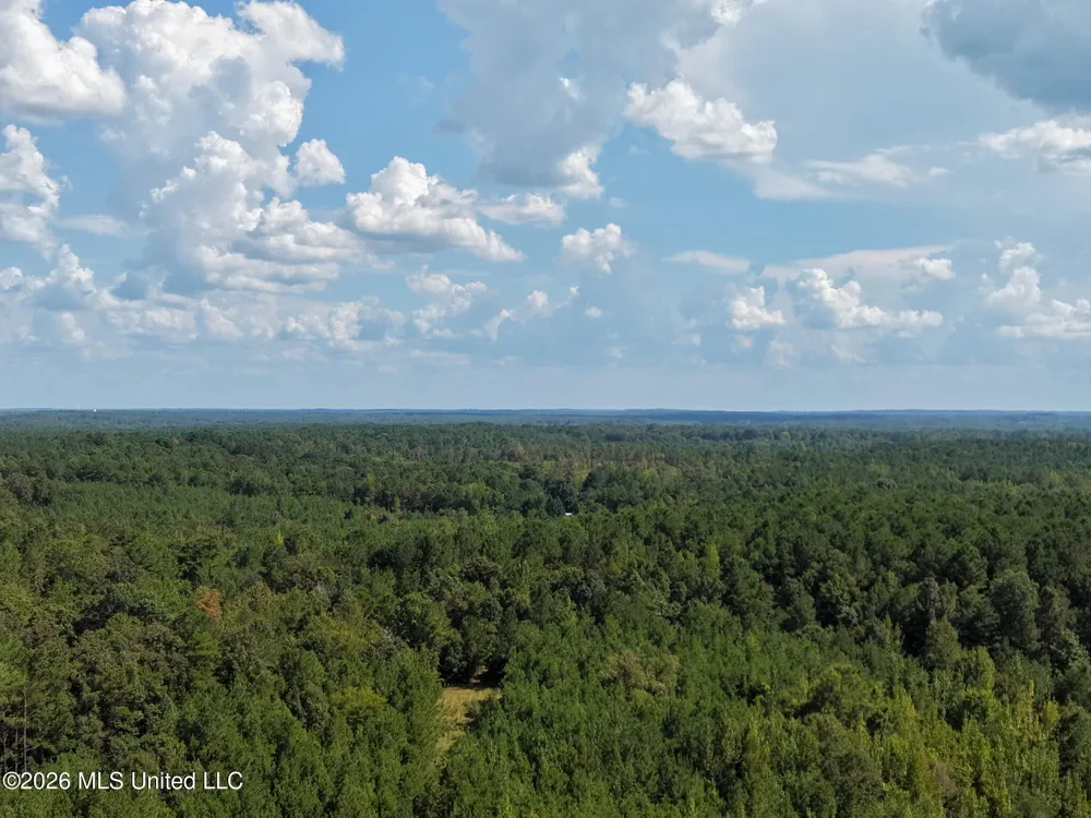 Harvey Road Carthage, MS 39051