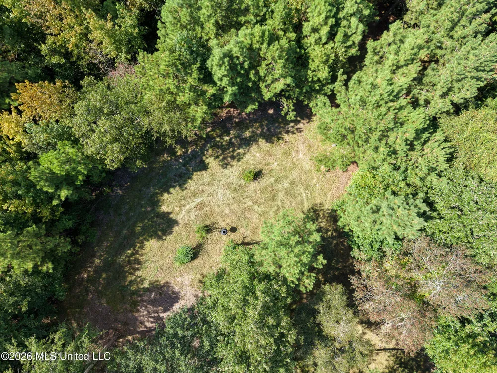 Harvey Road Carthage, MS 39051