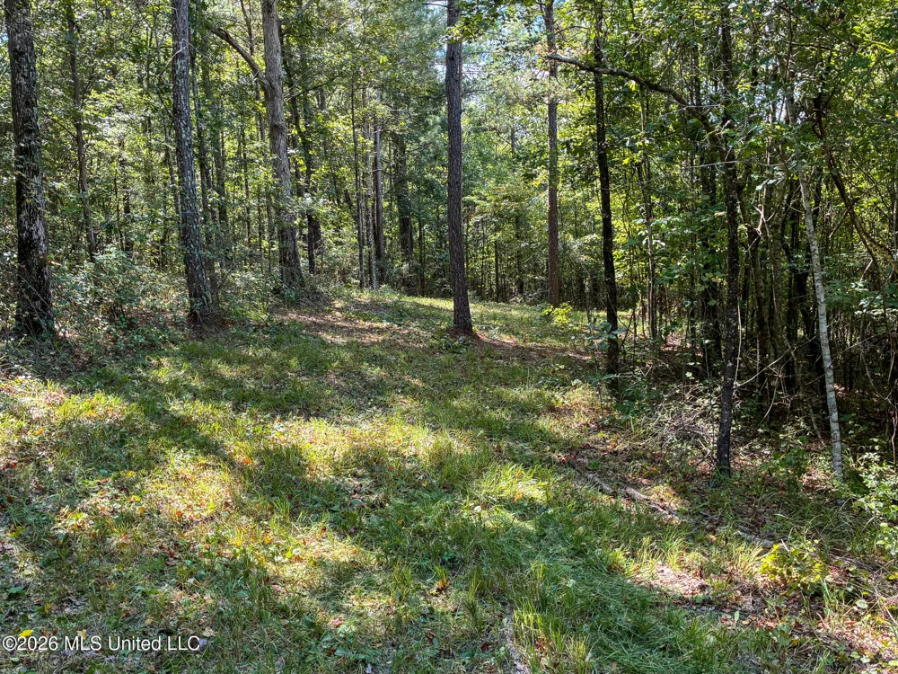 Harvey Road Carthage, MS 39051