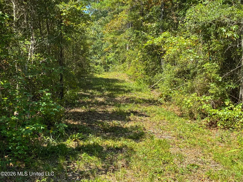 Harvey Road Carthage, MS 39051