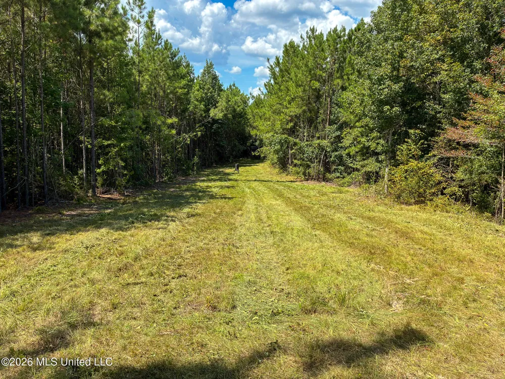 Harvey Road Carthage, MS 39051