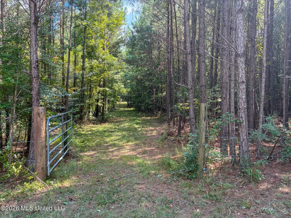 Harvey Road Carthage, MS 39051