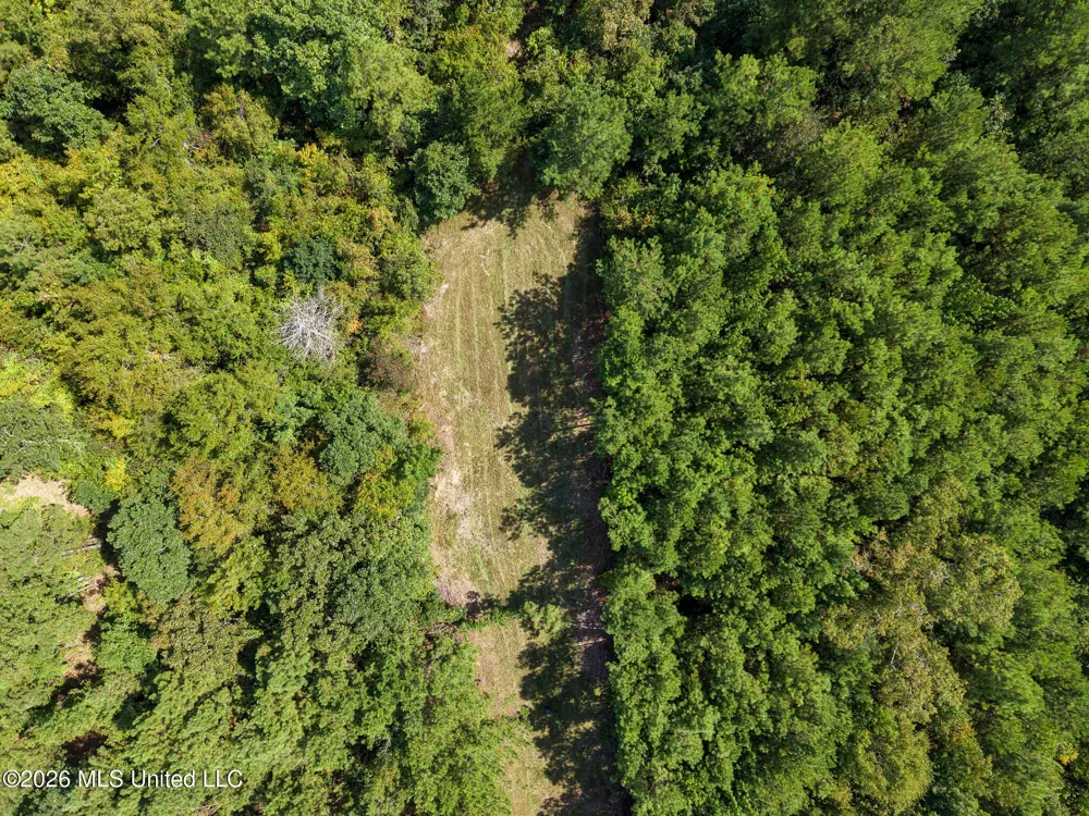 Harvey Road Carthage, MS 39051