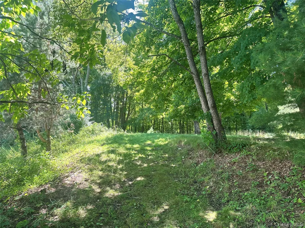 Peeble Lane Wurtsboro, NY 12790