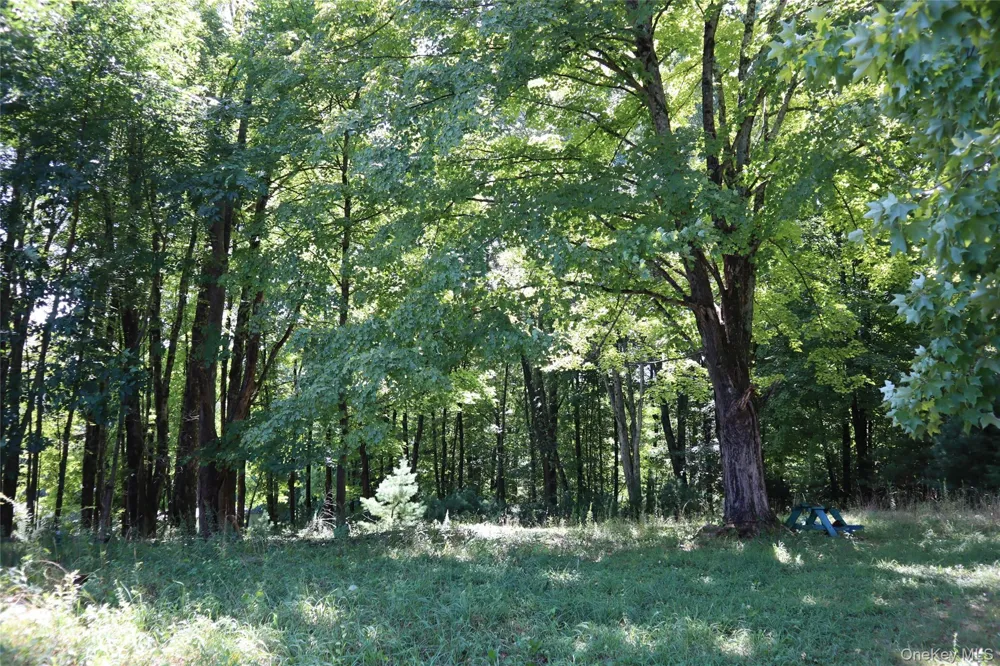 Peeble Lane Wurtsboro, NY 12790
