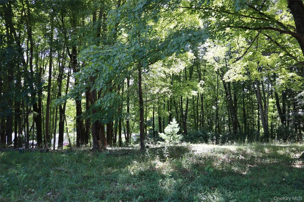 Peeble Lane Wurtsboro, NY 12790
