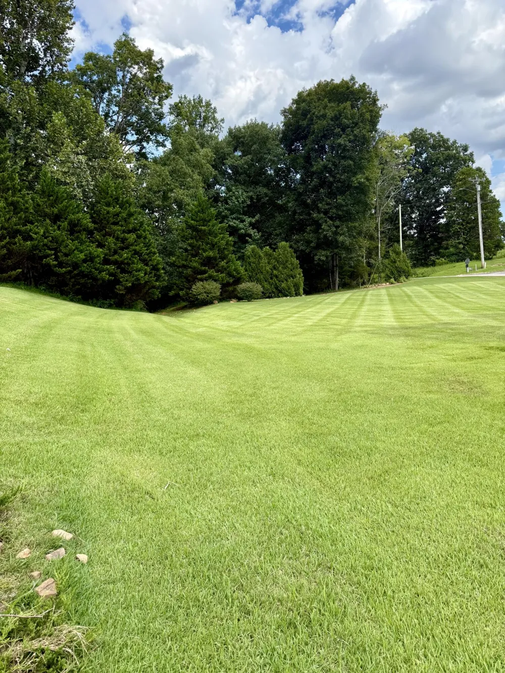 24 Lower Brow Road Dunlap, TN 37327