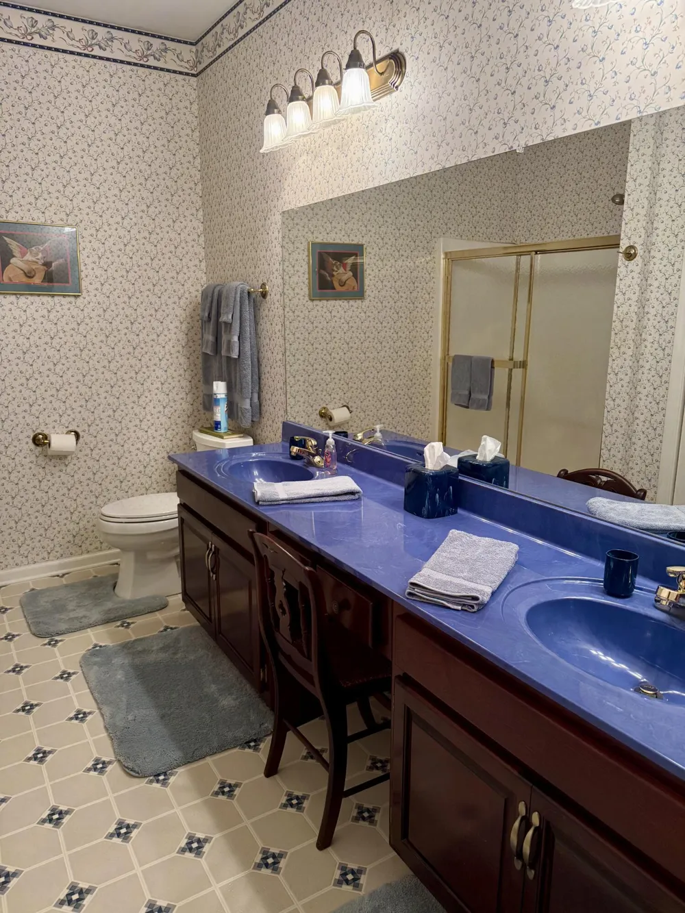 24 Lower Brow Road Dunlap, TN 37327