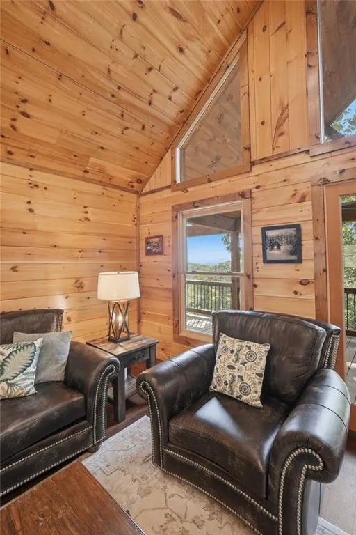 175 Stuart Drive Drive Mineral Bluff, GA 30559