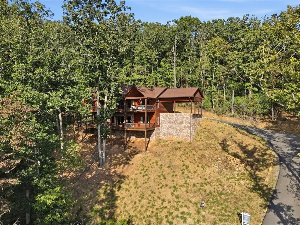 175 Stuart Drive Drive Mineral Bluff, GA 30559