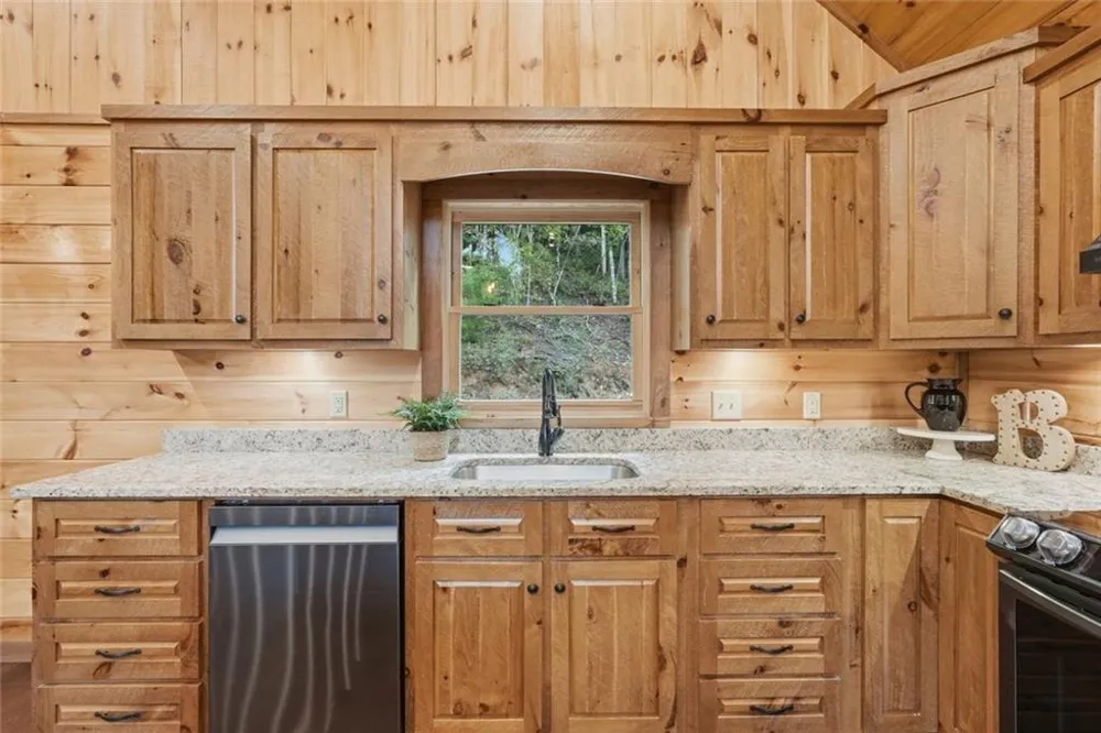 175 Stuart Drive Drive Mineral Bluff, GA 30559