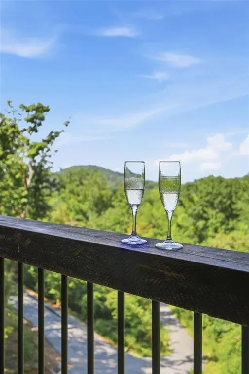 175 Stuart Drive Drive Mineral Bluff, GA 30559