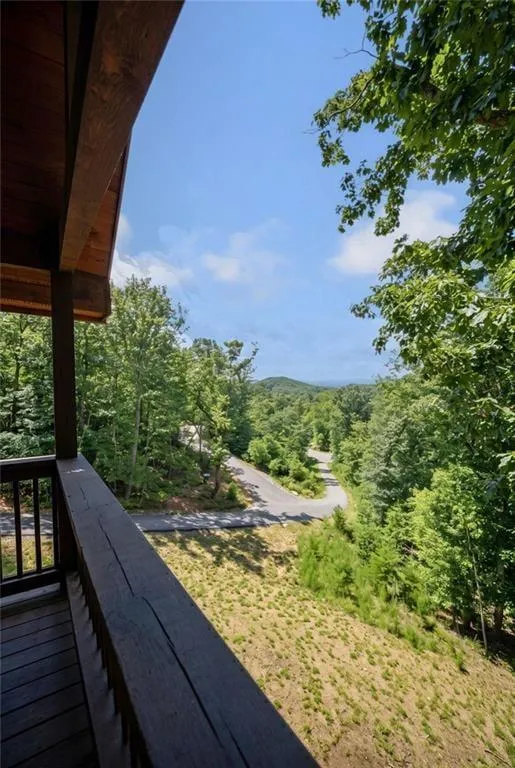175 Stuart Drive Drive Mineral Bluff, GA 30559