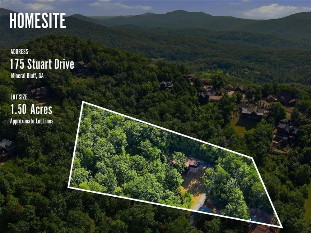 175 Stuart Drive Drive Mineral Bluff, GA 30559