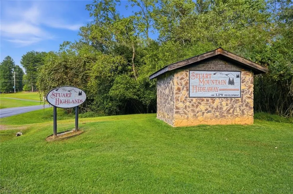 175 Stuart Drive Drive Mineral Bluff, GA 30559
