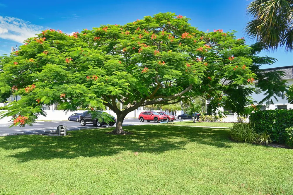 1100 E INDIANTOWN ROAD #113 Jupiter, FL 33477