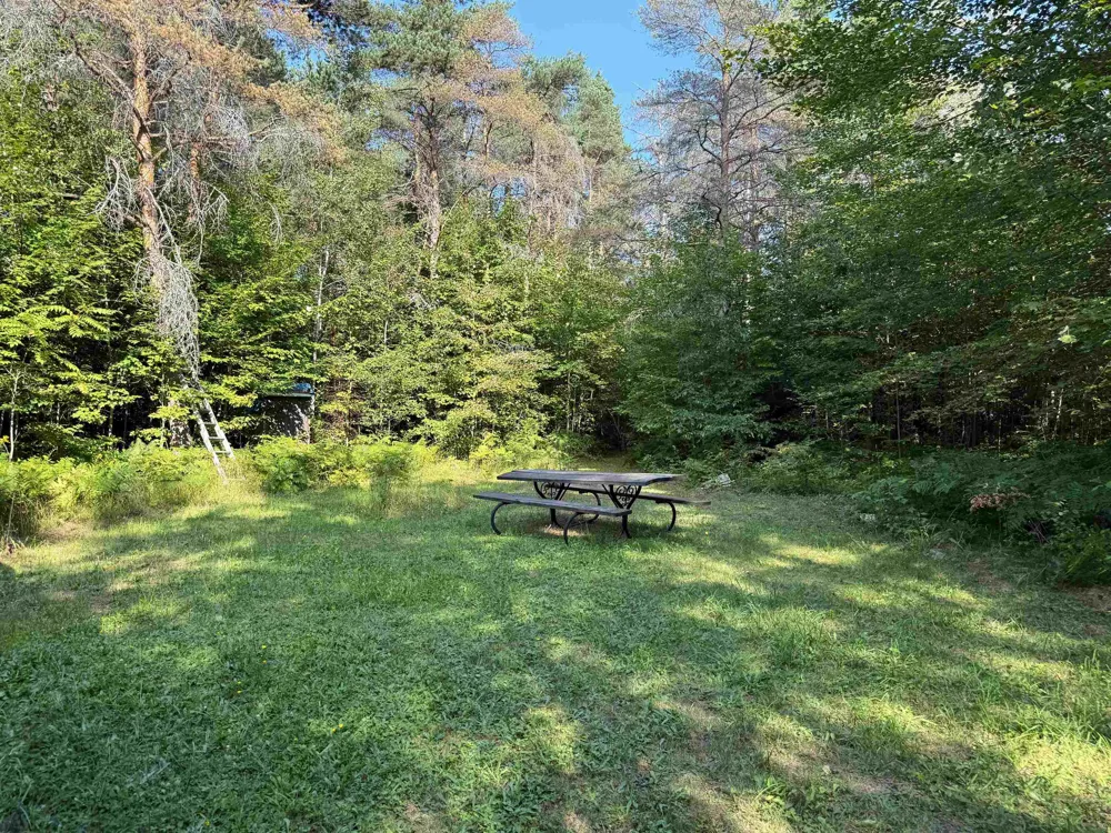 3288 NE Wheeler Lake Road Kalkaska Township, MI 49646