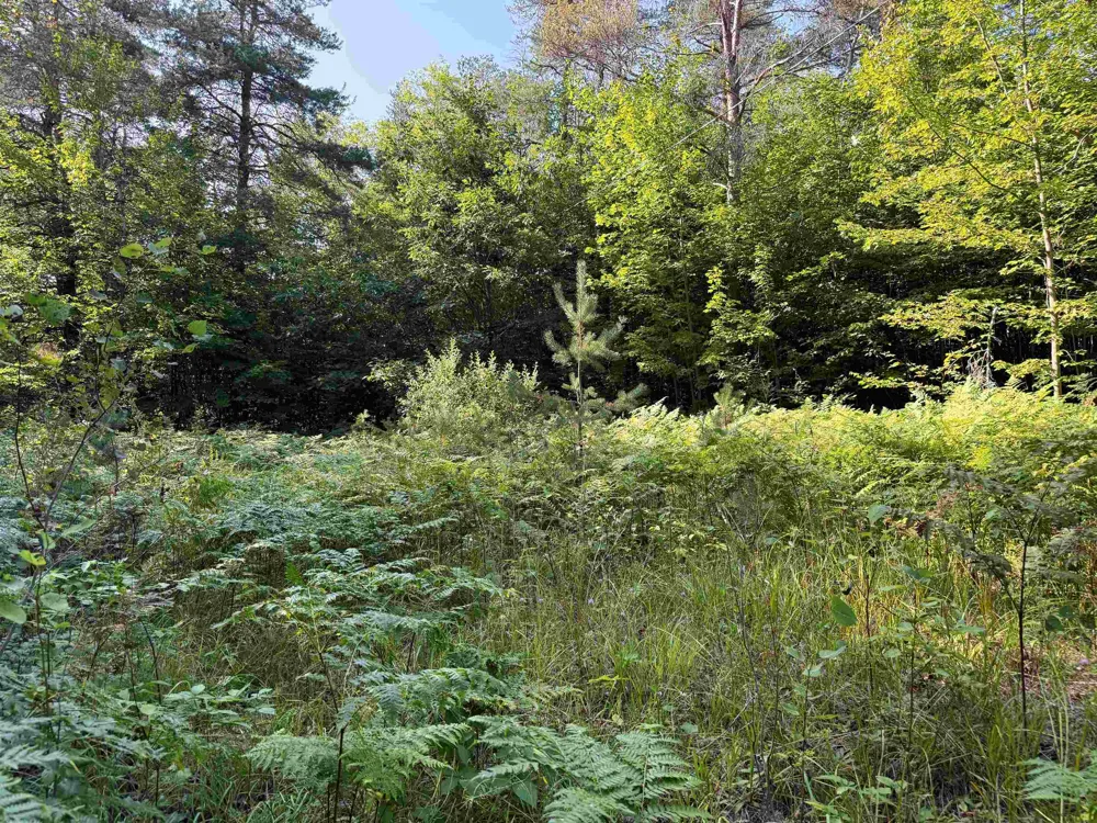 3288 NE Wheeler Lake Road Kalkaska Township, MI 49646
