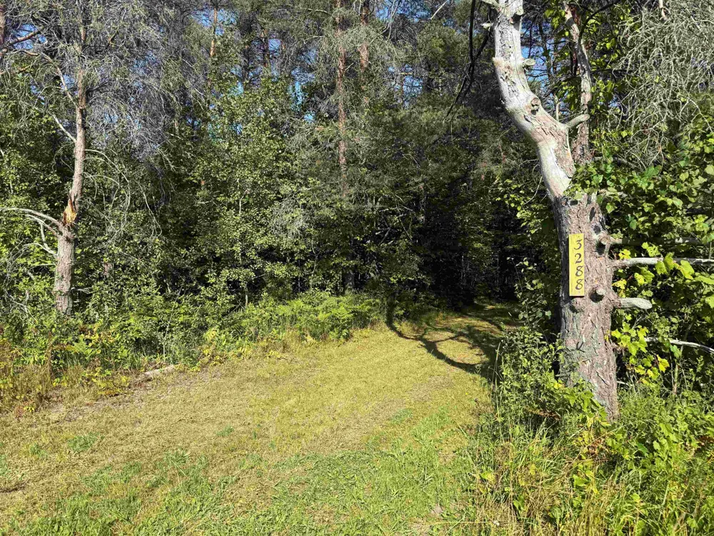 3288 NE Wheeler Lake Road Kalkaska Township, MI 49646