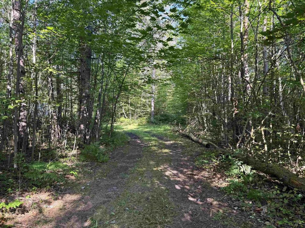 3288 NE Wheeler Lake Road Kalkaska Township, MI 49646