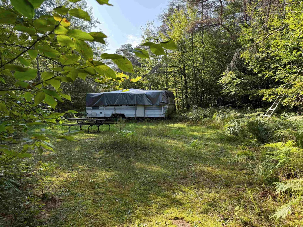3288 NE Wheeler Lake Road Kalkaska Township, MI 49646