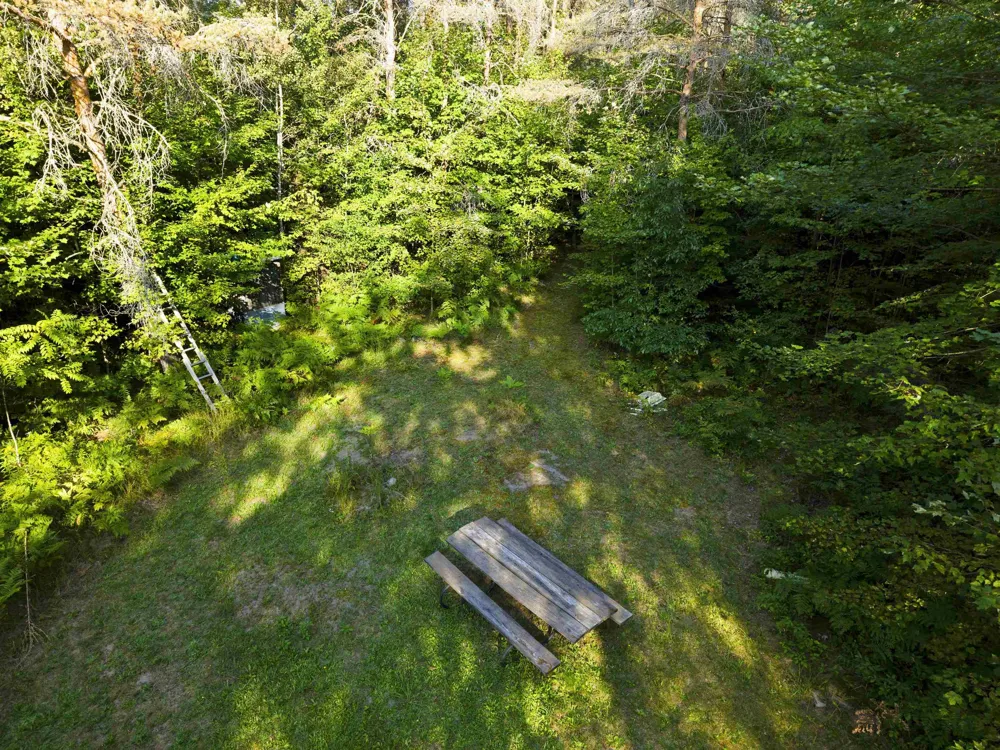 3288 NE Wheeler Lake Road Kalkaska Township, MI 49646