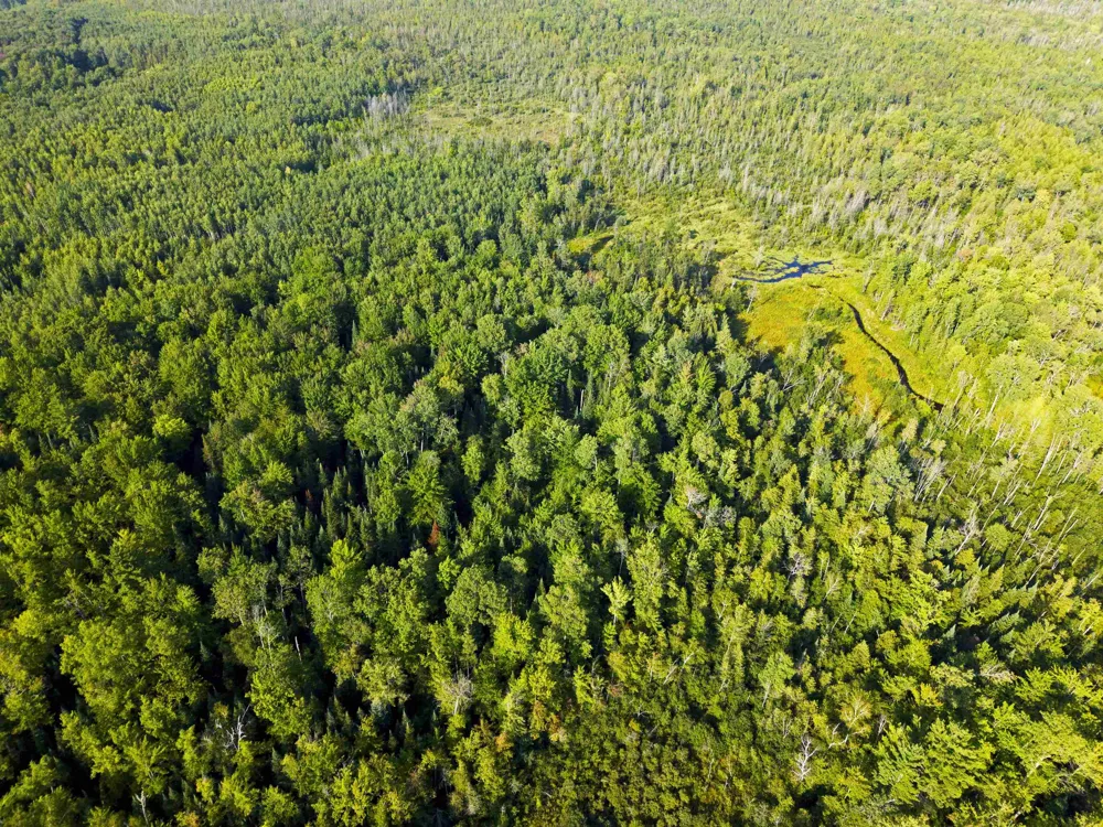 3288 NE Wheeler Lake Road Kalkaska Township, MI 49646