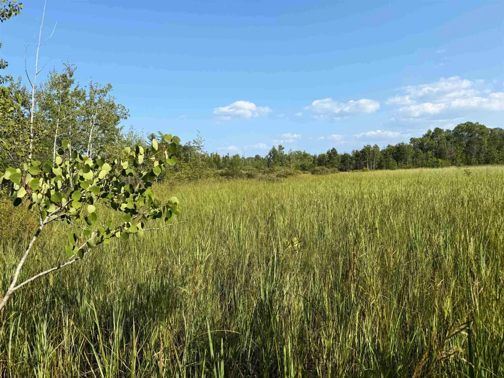 3288 NE Wheeler Lake Road Kalkaska Township, MI 49646