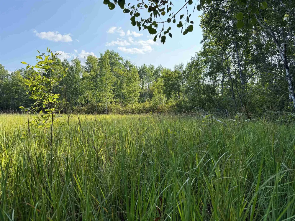 3288 NE Wheeler Lake Road Kalkaska Township, MI 49646