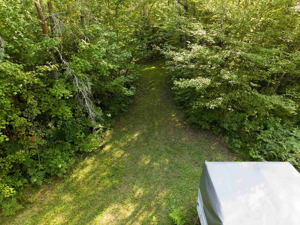 3288 NE Wheeler Lake Road Kalkaska Township, MI 49646
