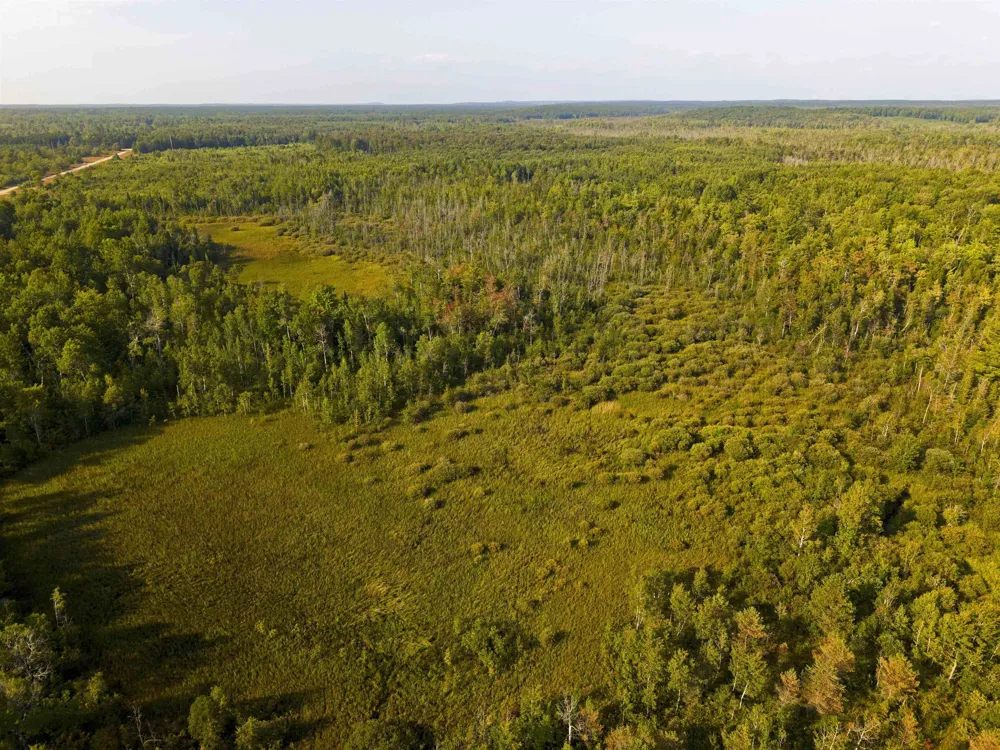 3288 NE Wheeler Lake Road Kalkaska Township, MI 49646