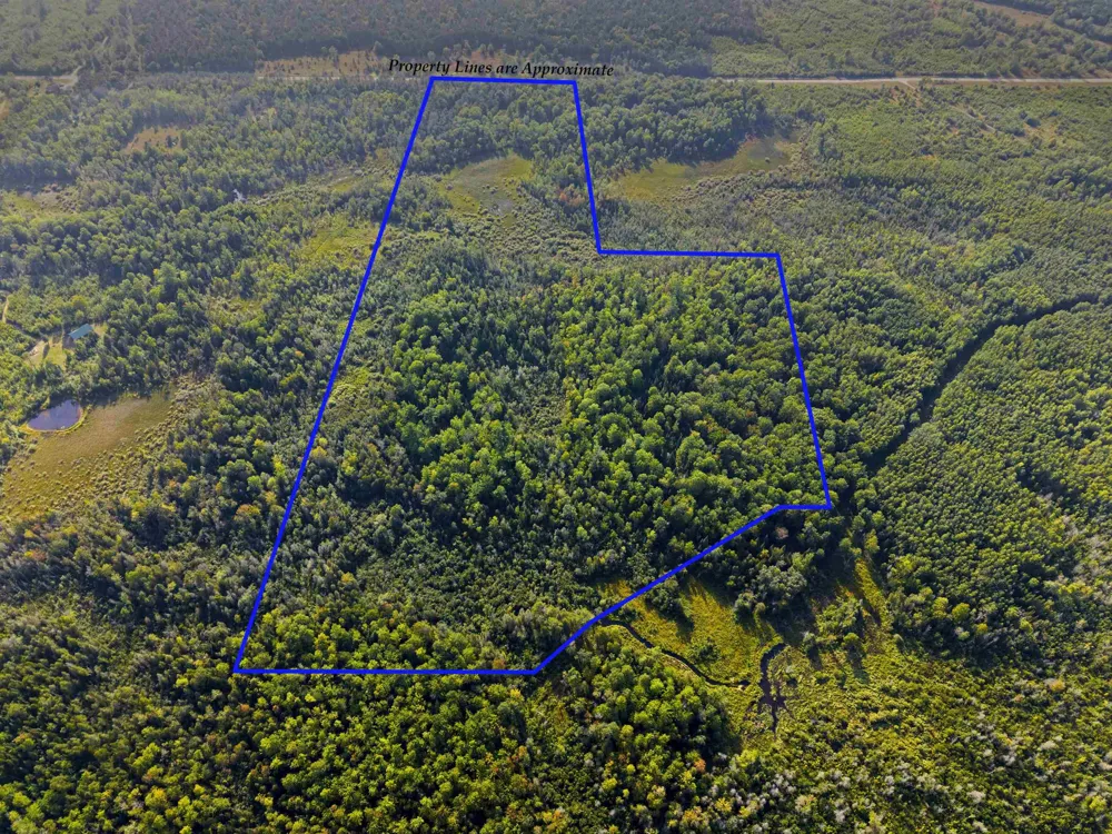 3288 NE Wheeler Lake Road Kalkaska Township, MI 49646