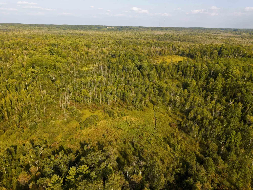 3288 NE Wheeler Lake Road Kalkaska Township, MI 49646
