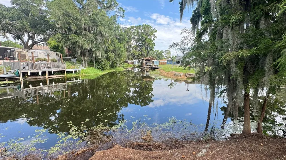 12115 VIRGINIA DRIVE Leesburg, FL 34788