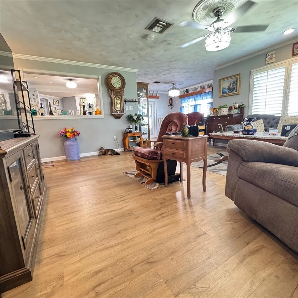 12115 VIRGINIA DRIVE Leesburg, FL 34788