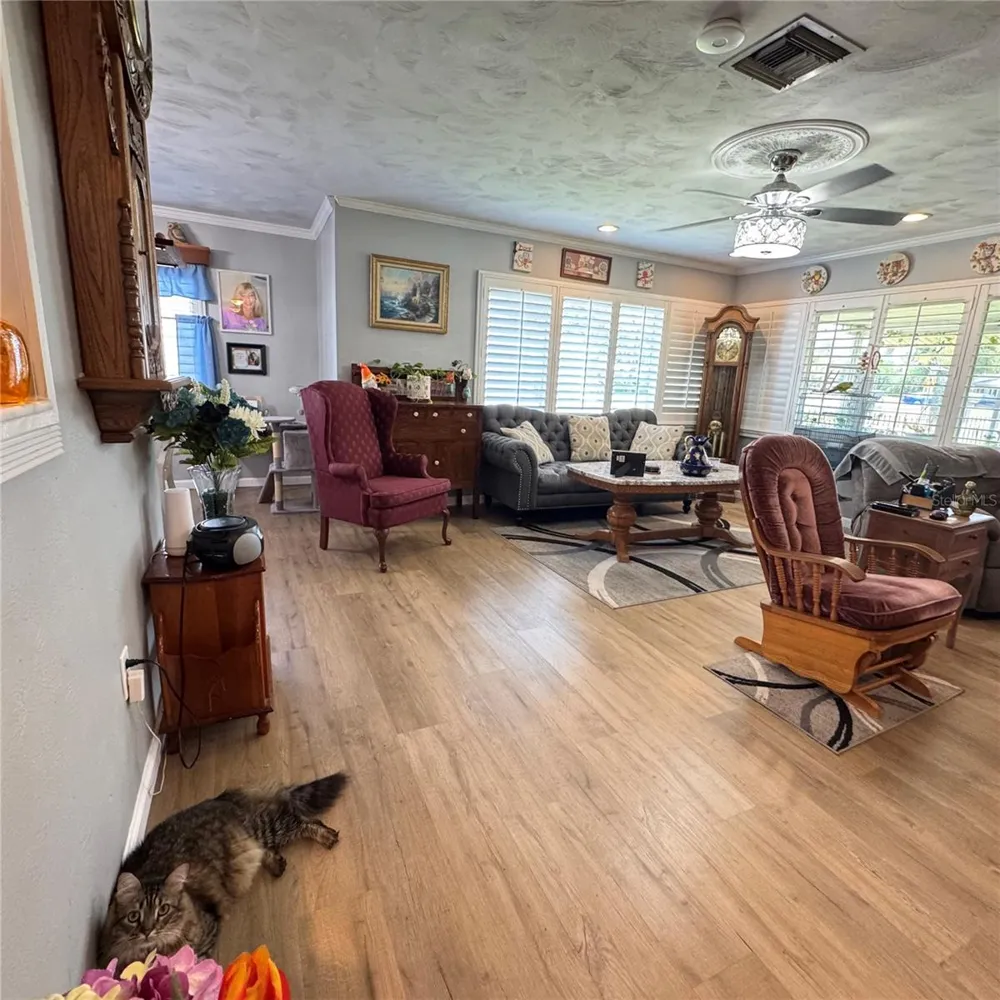 12115 VIRGINIA DRIVE Leesburg, FL 34788