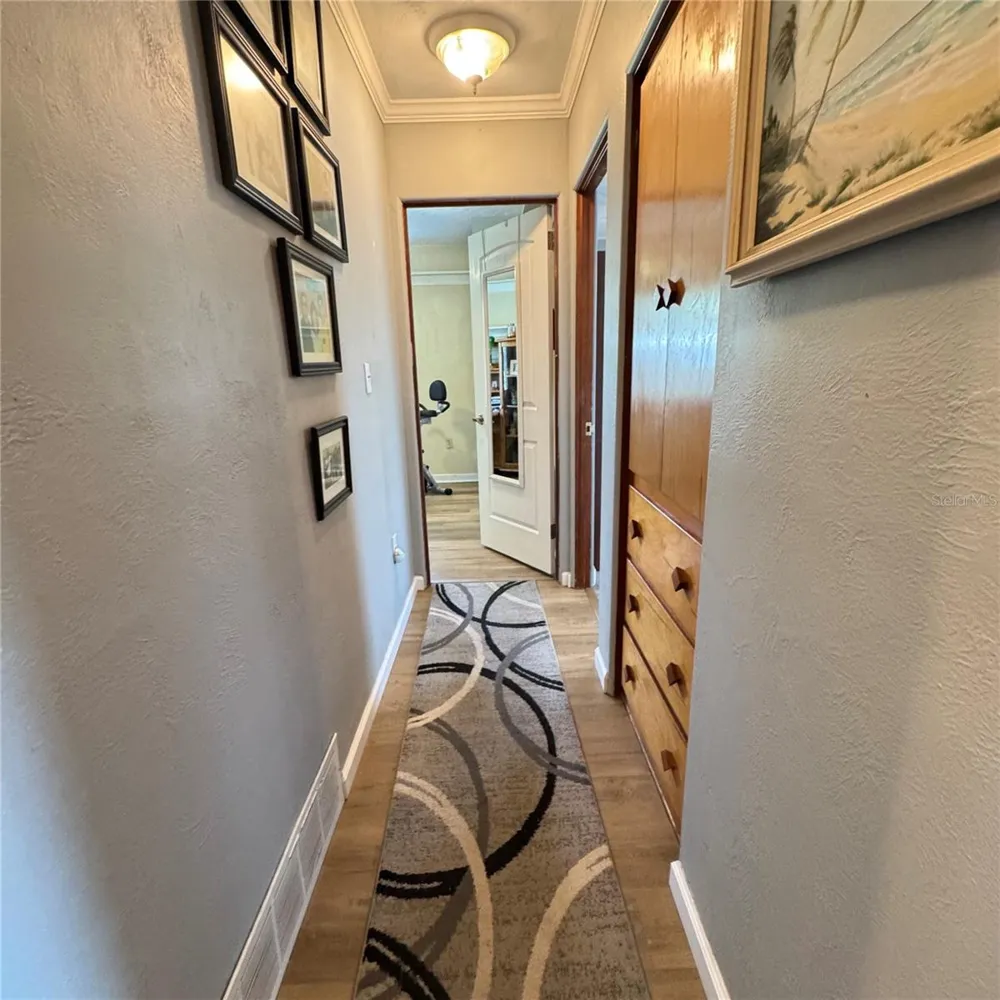 12115 VIRGINIA DRIVE Leesburg, FL 34788