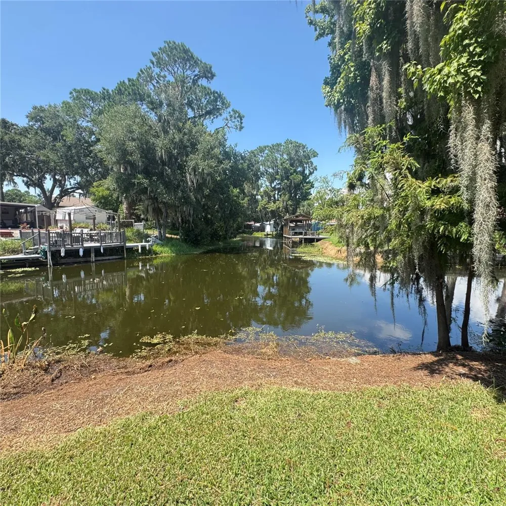 12115 VIRGINIA DRIVE Leesburg, FL 34788
