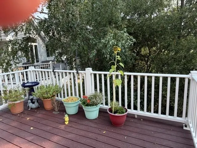 14361 Hummingbird Street NW Andover, MN 55304