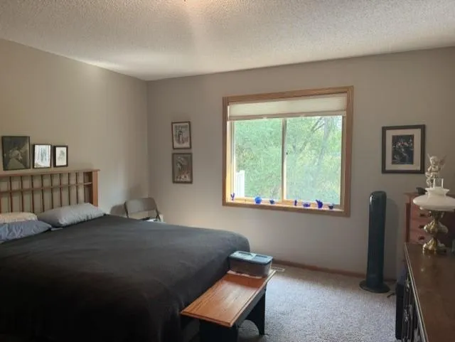 14361 Hummingbird Street NW Andover, MN 55304