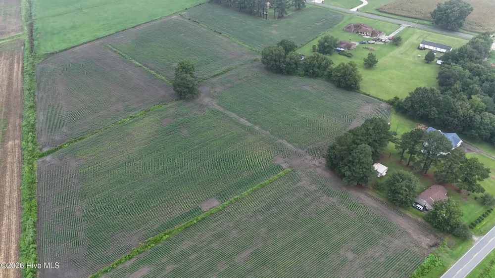 Near 128 Bay Rd. Rose Hill, NC 28458
