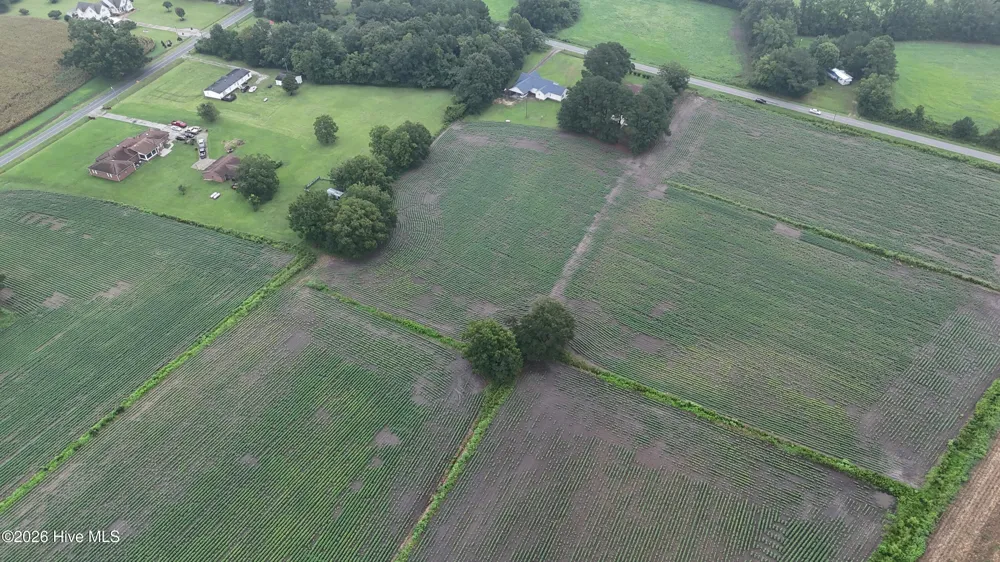 Near 128 Bay Rd. Rose Hill, NC 28458
