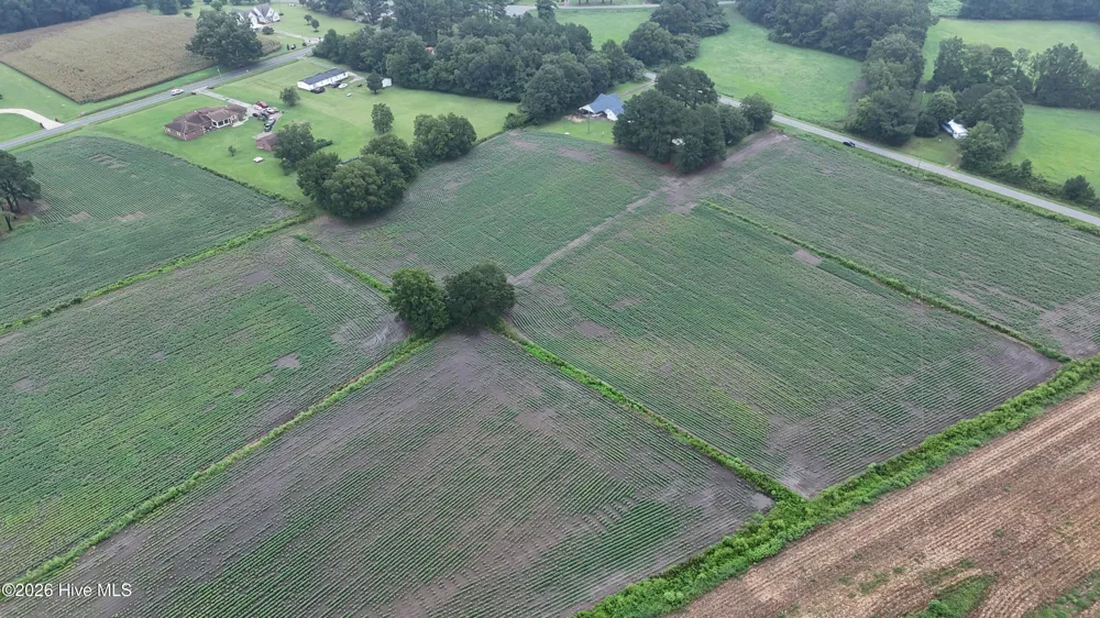 Near 128 Bay Rd. Rose Hill, NC 28458