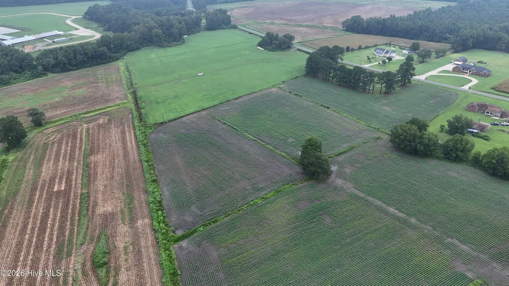 Near 128 Bay Rd. Rose Hill, NC 28458