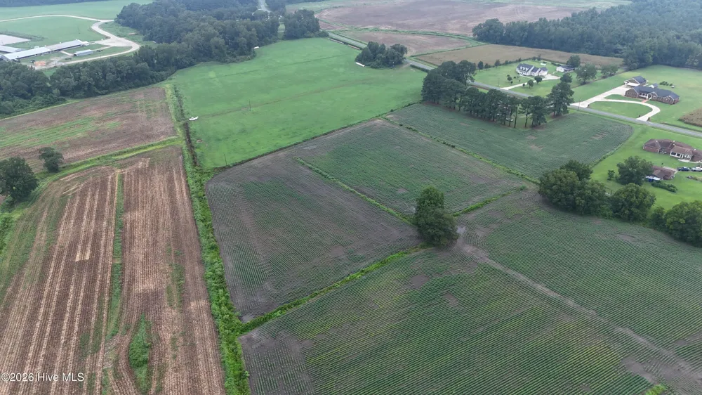 Near 128 Bay Rd. Rose Hill, NC 28458