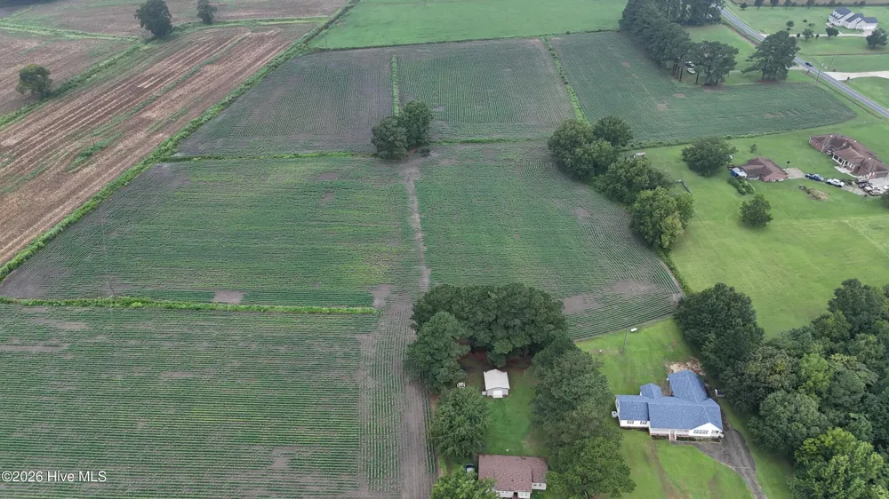 Near 128 Bay Rd. Rose Hill, NC 28458
