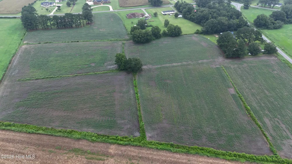 Near 128 Bay Rd. Rose Hill, NC 28458
