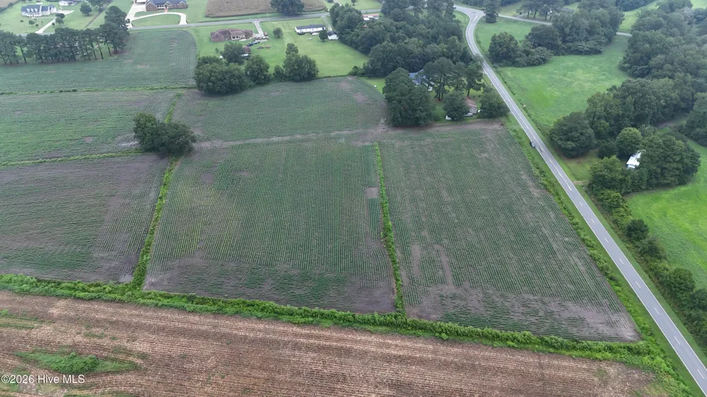 Near 128 Bay Rd. Rose Hill, NC 28458
